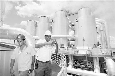 巴西优先发展生物燃料 经济困境中的绿色突围之路