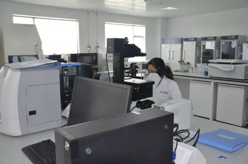 央视聚焦 143家太仓“小巨人”领跑生物科技赛道，技术咨询驱动创新浪潮