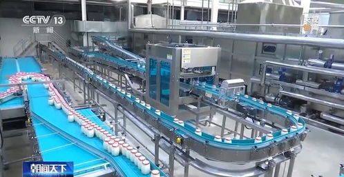 智酿孝感米酒 生物科技赋能传统技艺，揭秘酸酸甜甜的秘诀